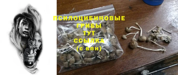 молекула духа Арсеньев