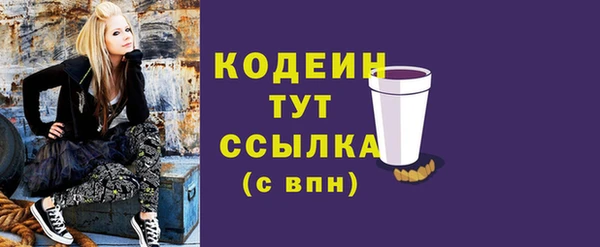 молекула духа Арсеньев