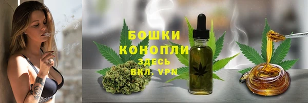 молекула духа Арсеньев