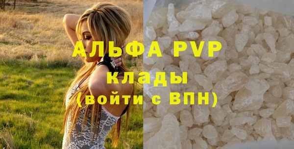 молекула духа Арсеньев