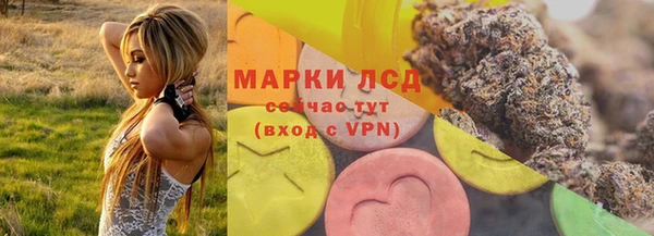молекула духа Арсеньев