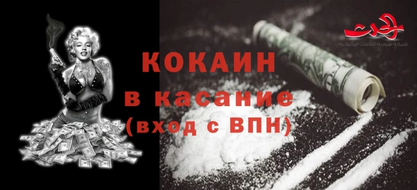 молекула духа Арсеньев