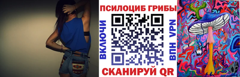 Псилоцибиновые грибы GOLDEN TEACHER  как найти закладки  darknet какой сайт  Ростов 