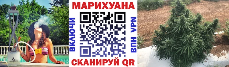 хочу наркоту  мега ссылка  Бошки Шишки Bruce Banner  Ростов 